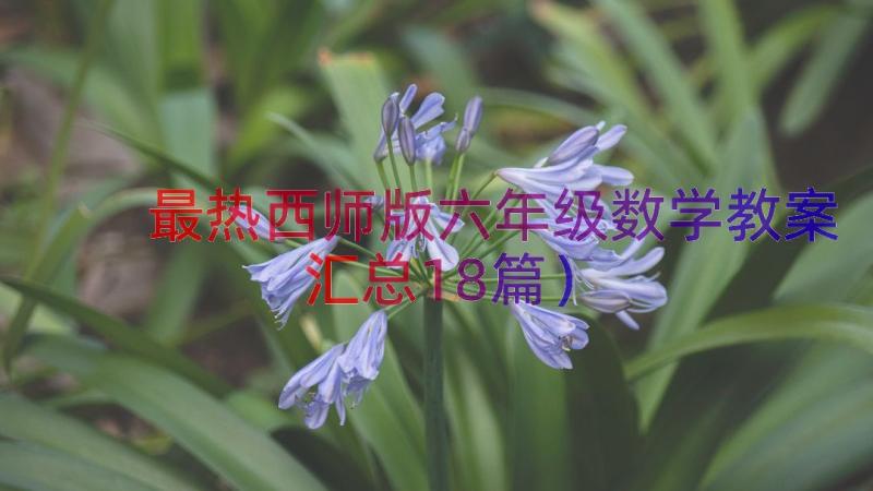 最热西师版六年级数学教案（汇总18篇）