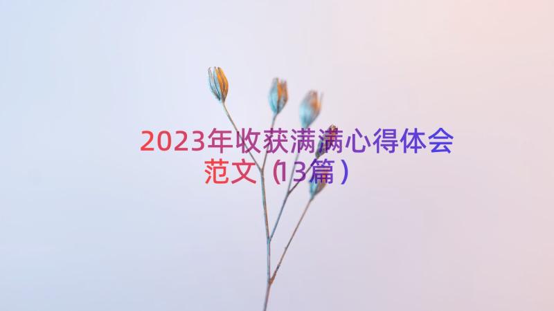 2023年收获满满心得体会范文（13篇）