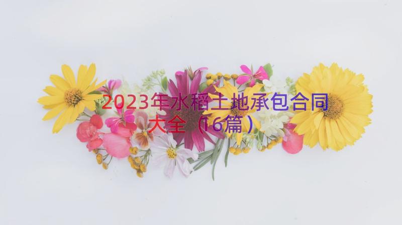 2023年水稻土地承包合同大全（16篇）