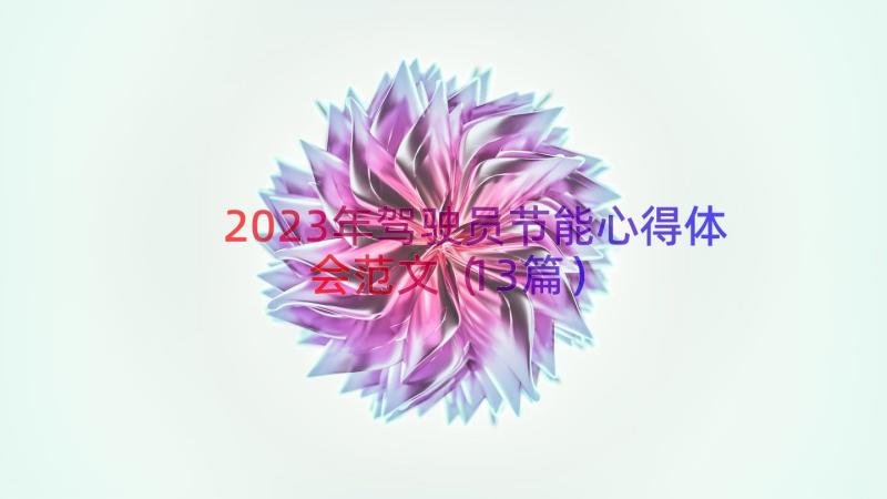 2023年驾驶员节能心得体会范文（13篇）