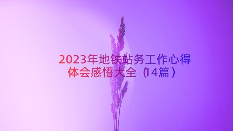 2023年地铁站务工作心得体会感悟大全（14篇）