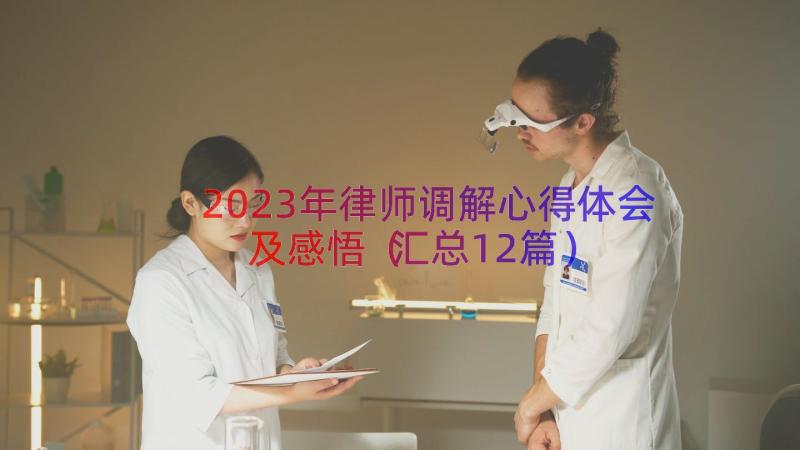 2023年律师调解心得体会及感悟（汇总12篇）