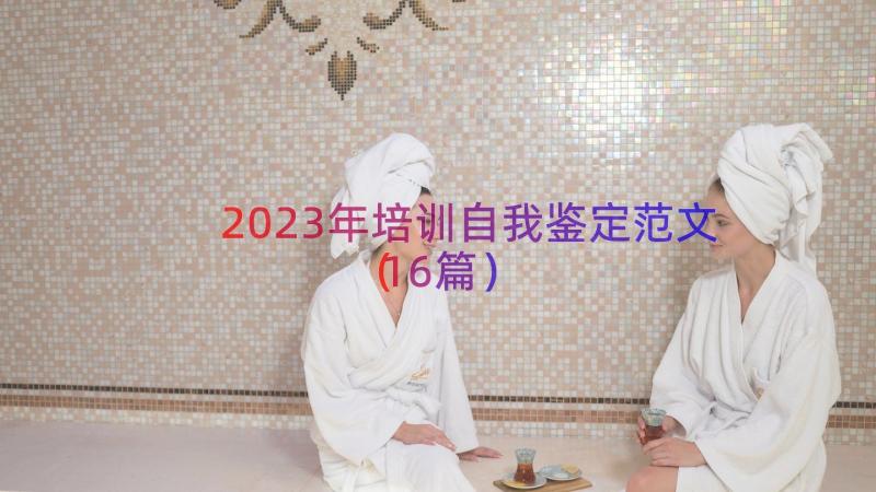 2023年培训自我鉴定范文（16篇）