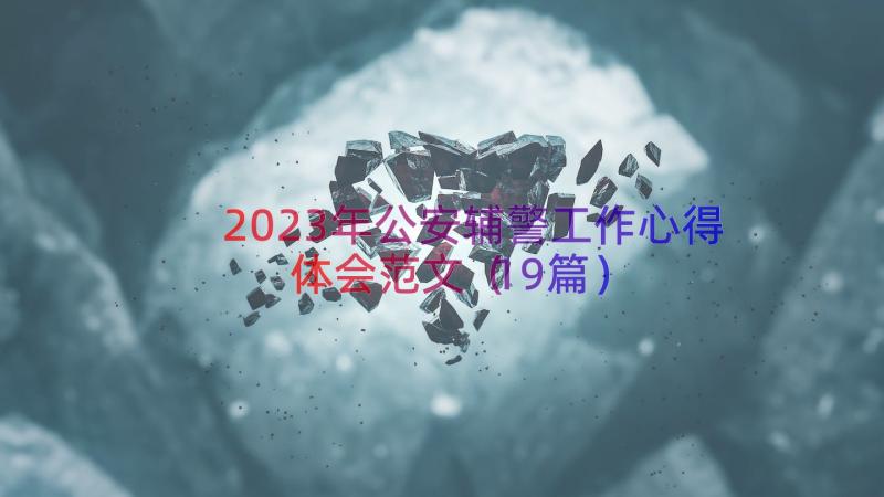 2023年公安辅警工作心得体会范文（19篇）