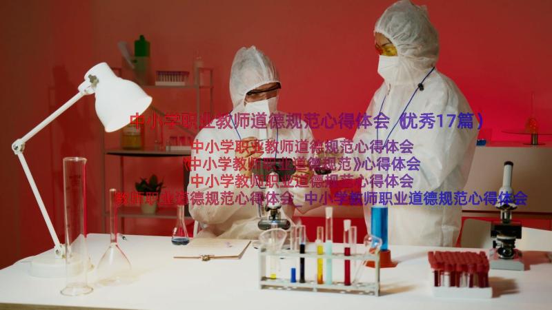 中小学职业教师道德规范心得体会（优秀17篇）