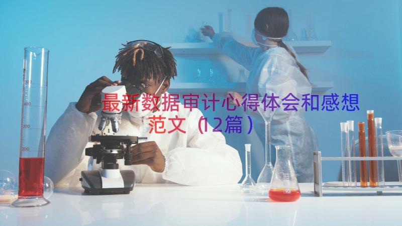 最新数据审计心得体会和感想范文（12篇）