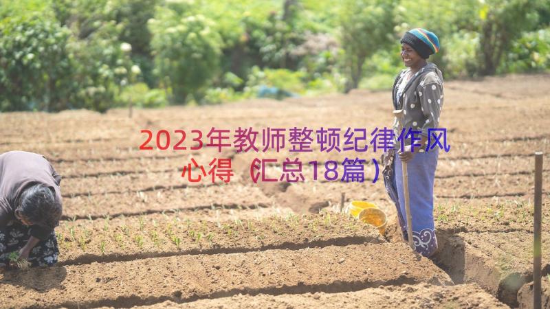 2023年教师整顿纪律作风心得（汇总18篇）