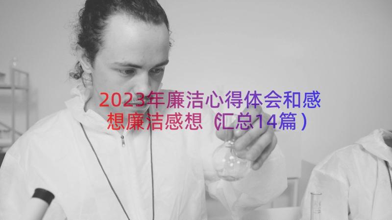 2023年廉洁心得体会和感想廉洁感想（汇总14篇）