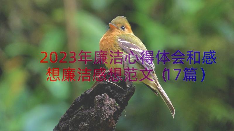 2023年廉洁心得体会和感想廉洁感想范文（17篇）