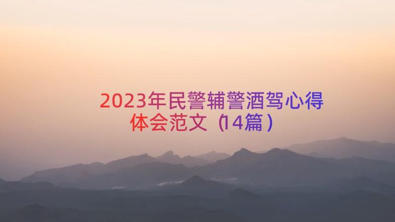 2023年民警辅警酒驾心得体会范文（14篇）