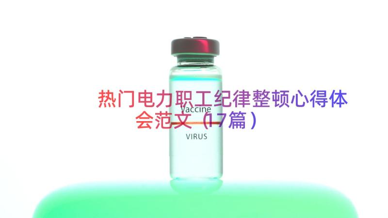 热门电力职工纪律整顿心得体会范文（17篇）