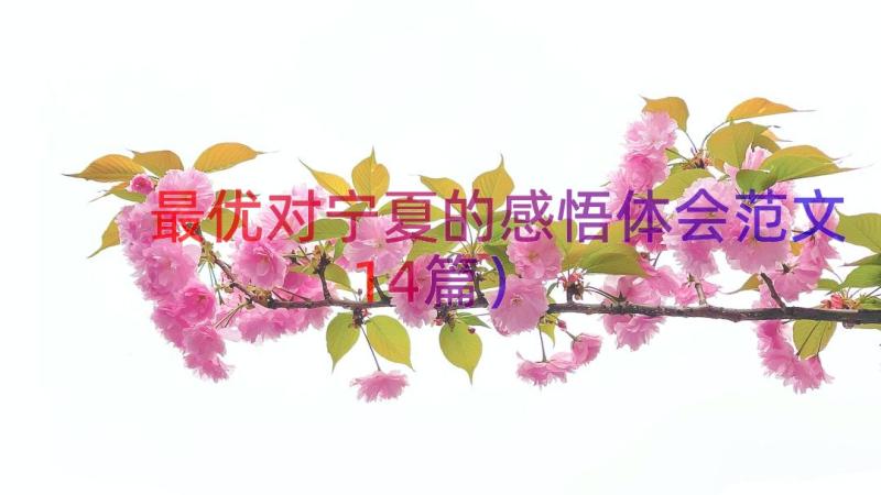 最优对宁夏的感悟体会范文（14篇）