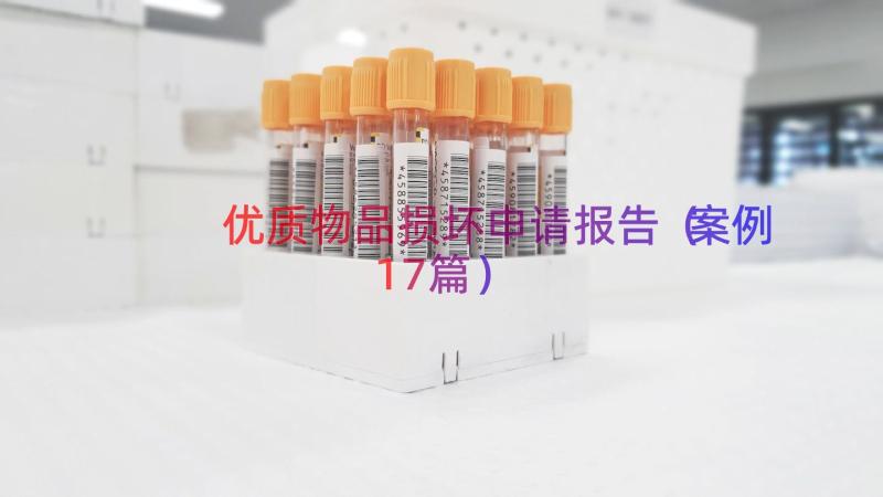 优质物品损坏申请报告（案例17篇）