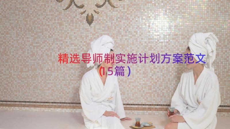 精选导师制实施计划方案范文（15篇）