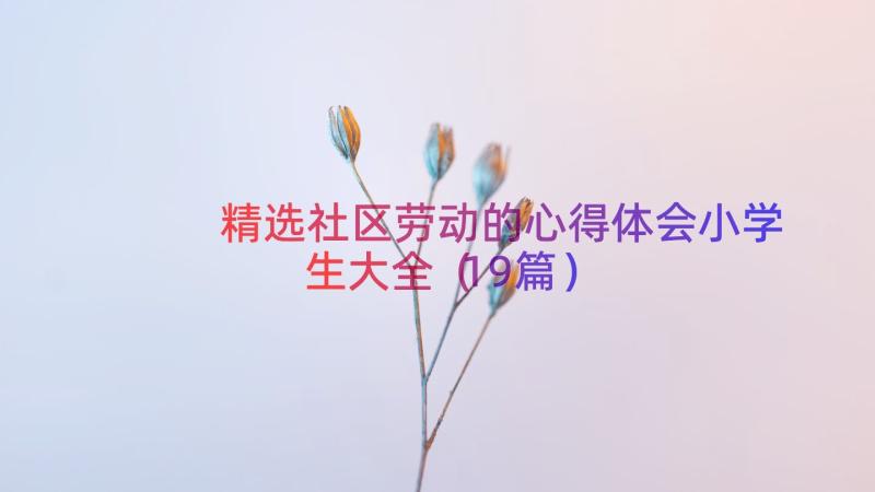 精选社区劳动的心得体会小学生大全（19篇）