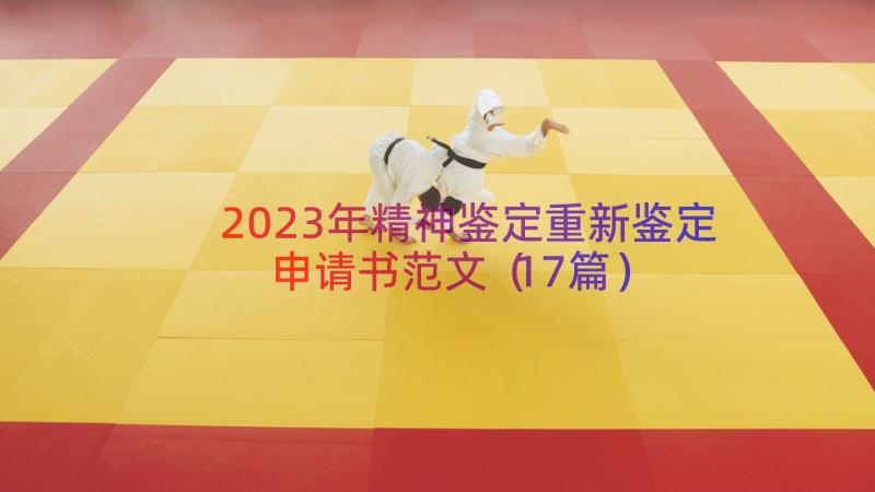 2023年精神鉴定重新鉴定申请书范文（17篇）