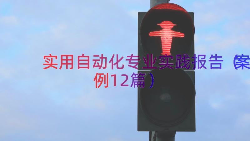 实用自动化专业实践报告（案例12篇）