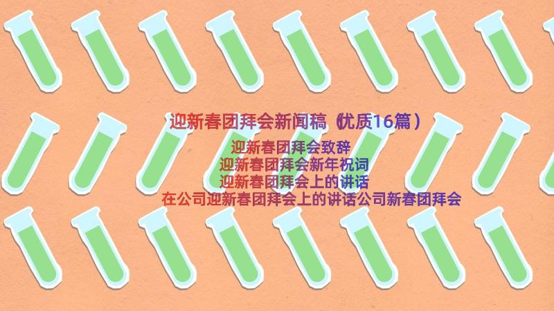 迎新春团拜会新闻稿（优质16篇）