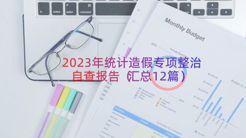 2023年统计造假专项整治自查报告（汇总12篇）