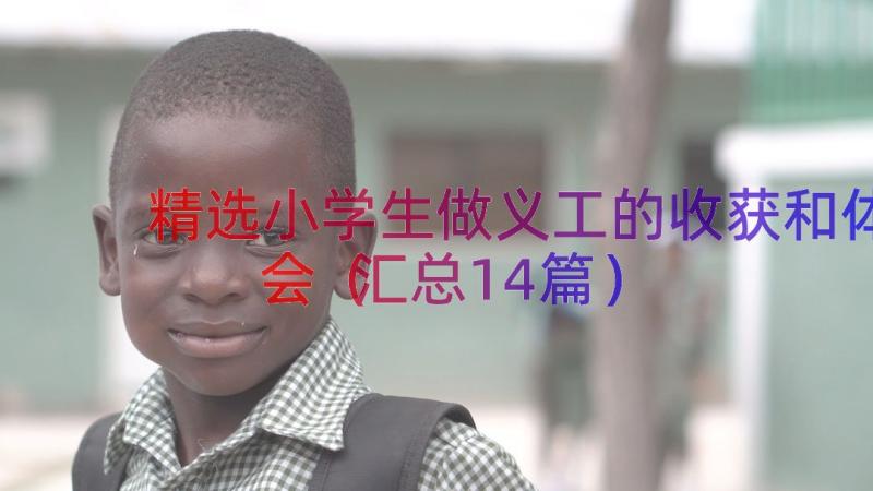 精选小学生做义工的收获和体会（汇总14篇）