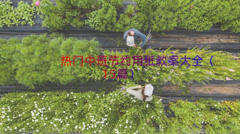 热门中班节约用纸教案大全（15篇）