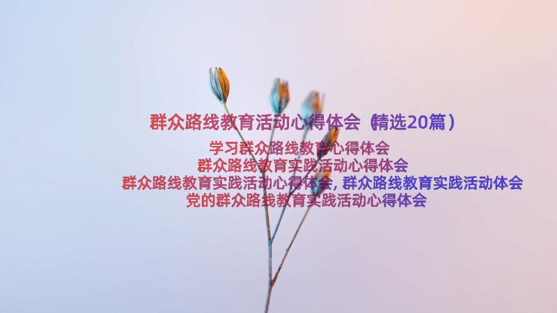 群众路线教育活动心得体会（精选20篇）