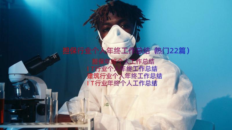 担保行业个人年终工作总结（热门22篇）