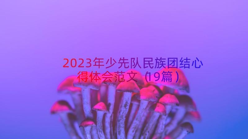 2023年少先队民族团结心得体会范文（19篇）
