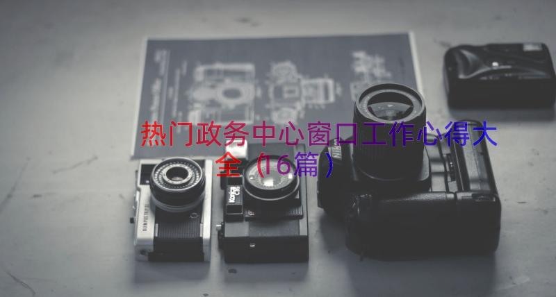 热门政务中心窗口工作心得大全（16篇）