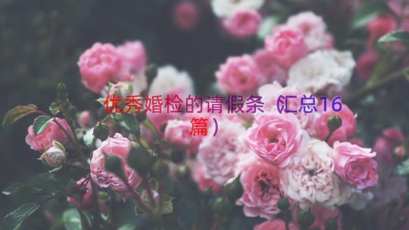 优秀婚检的请假条（汇总16篇）