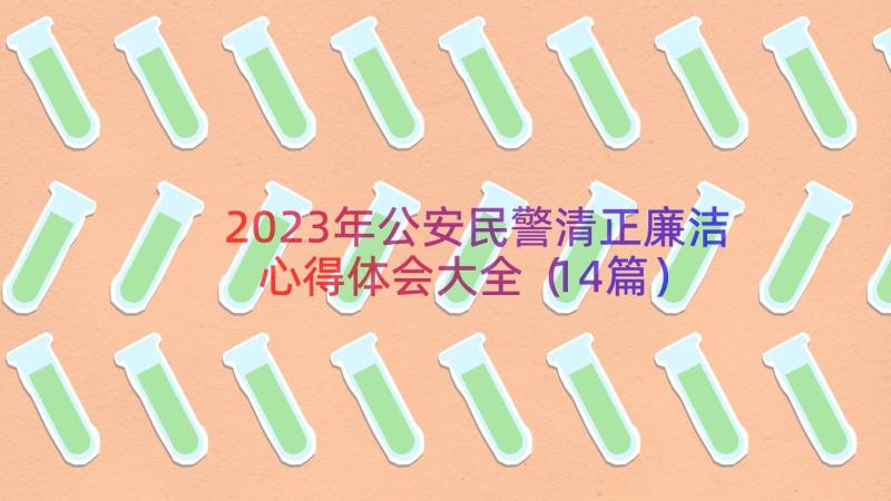 2023年公安民警清正廉洁心得体会大全（14篇）