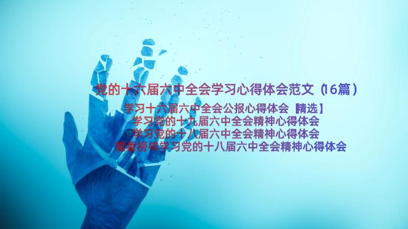 党的十六届六中全会学习心得体会范文（16篇）