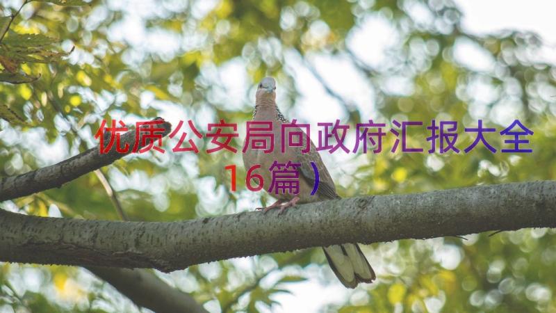 优质公安局向政府汇报大全（16篇）