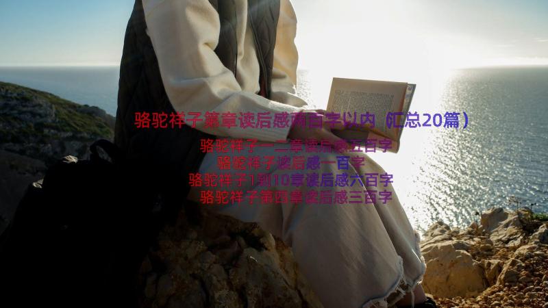 骆驼祥子第章读后感两百字以内（汇总20篇）