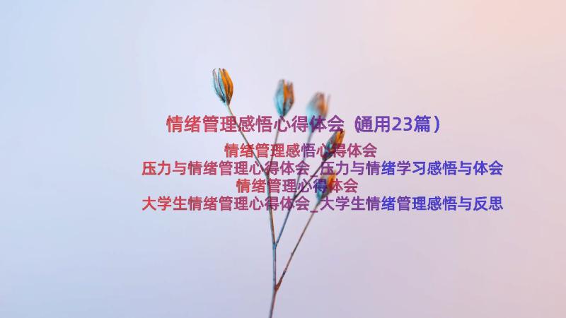 情绪管理感悟心得体会（通用23篇）