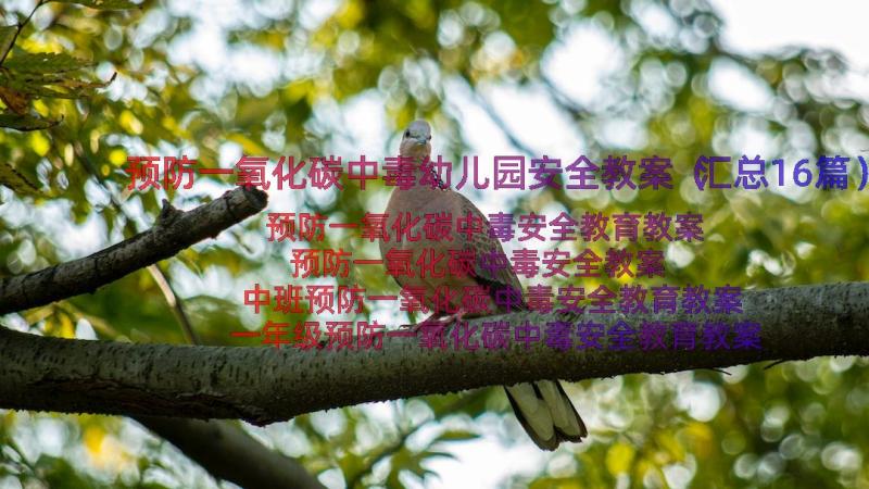 预防一氧化碳中毒幼儿园安全教案（汇总16篇）