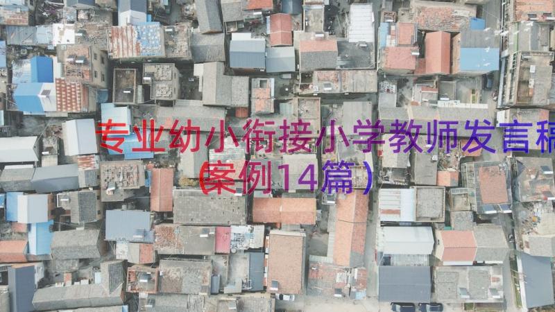 专业幼小衔接小学教师发言稿（案例14篇）