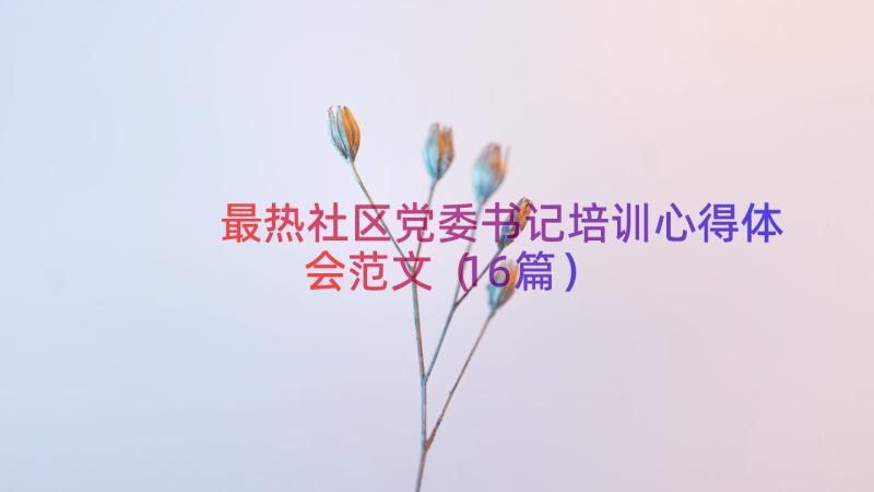 最热社区党委书记培训心得体会范文（16篇）