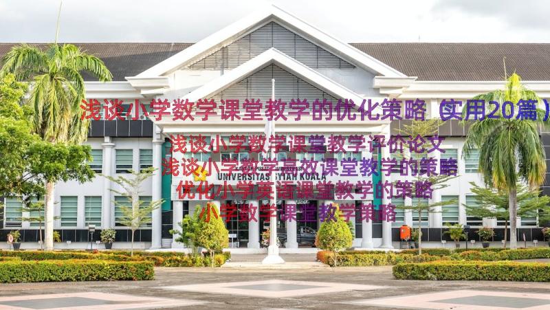 浅谈小学数学课堂教学的优化策略（实用20篇）