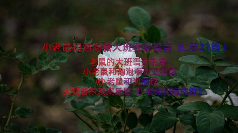 小老鼠和泡泡糖大班教案语言（汇总21篇）