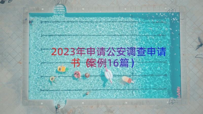 2023年申请公安调查申请书（案例16篇）