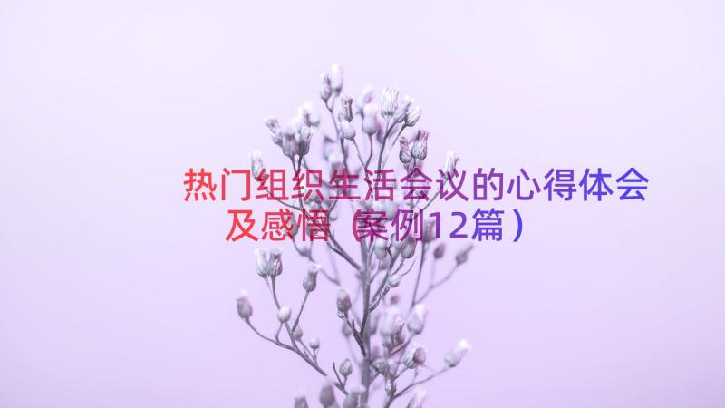 热门组织生活会议的心得体会及感悟（案例12篇）