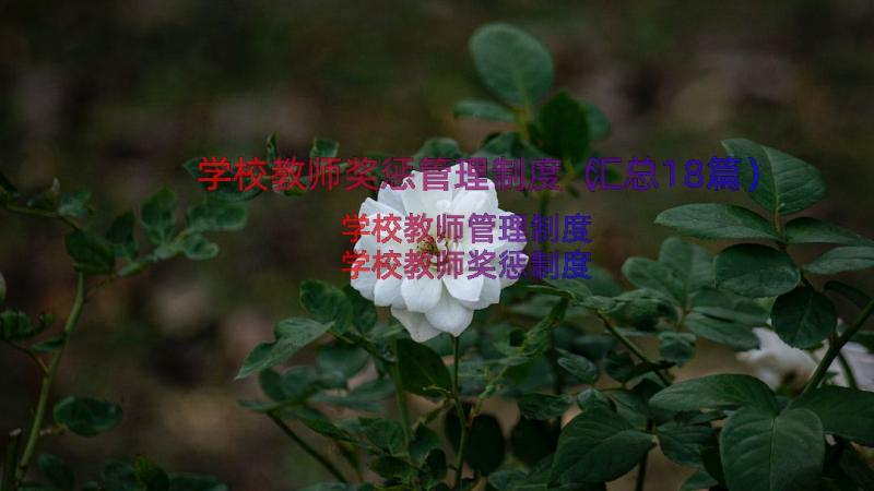 学校教师奖惩管理制度（汇总18篇）