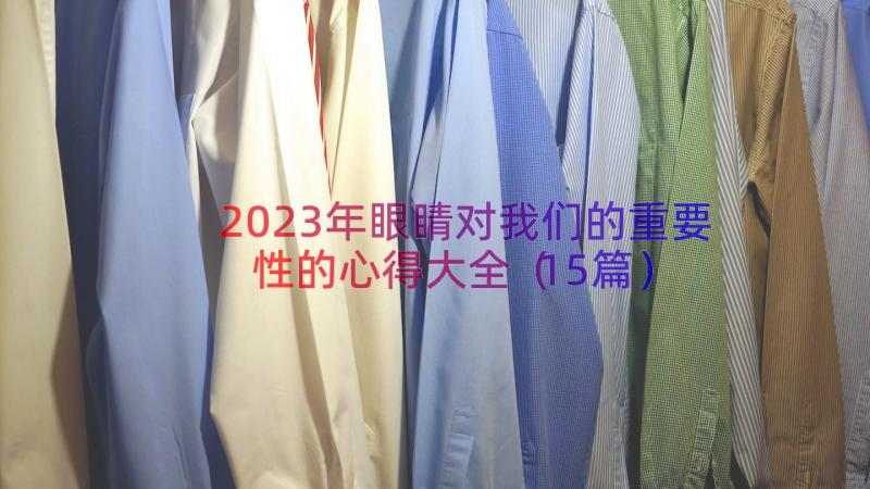 2023年眼睛对我们的重要性的心得大全（15篇）