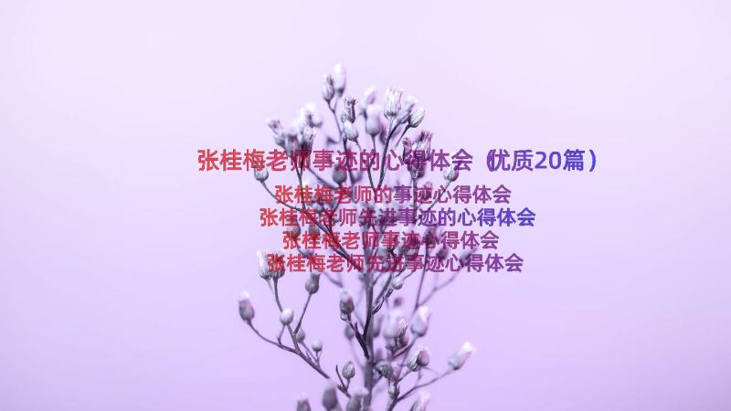 张桂梅老师事迹的心得体会（优质20篇）