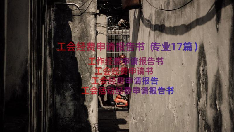 工会经费申请报告书（专业17篇）