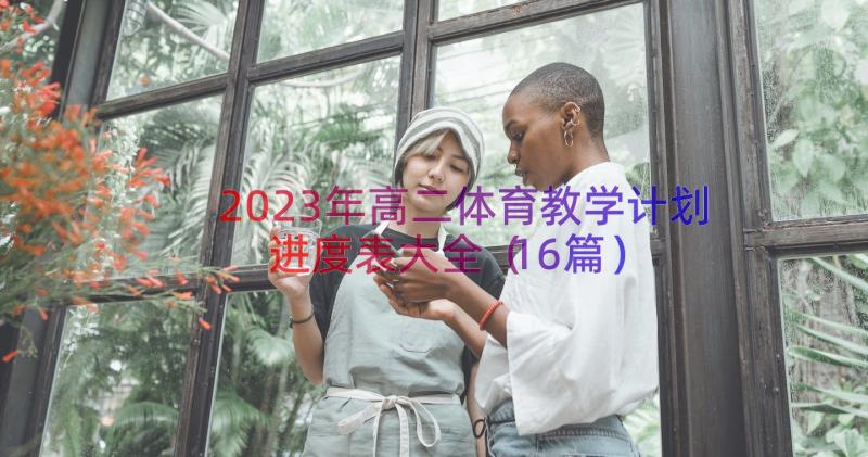 2023年高二体育教学计划进度表大全（16篇）