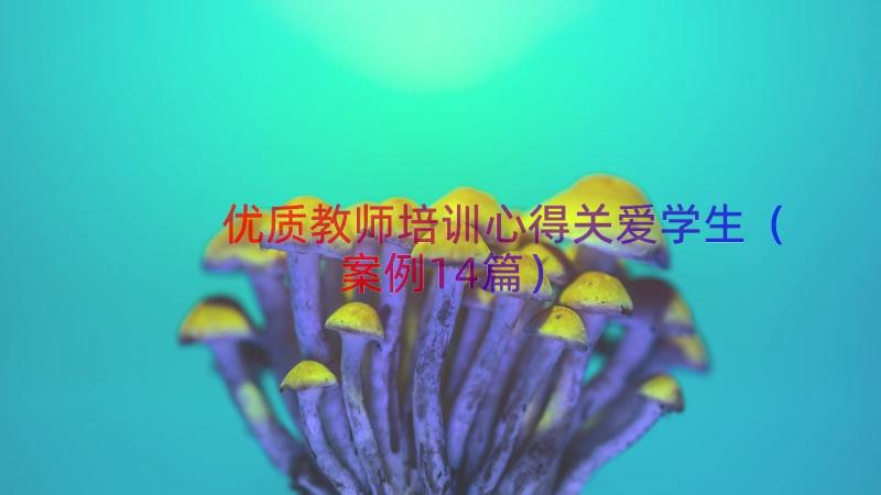 优质教师培训心得关爱学生（案例14篇）