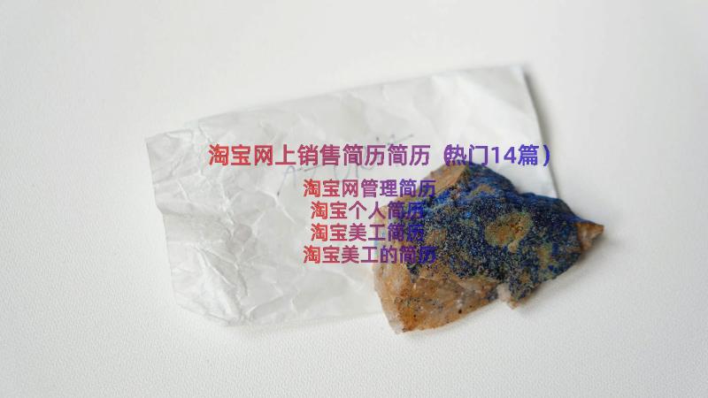 淘宝网上销售简历简历（热门14篇）