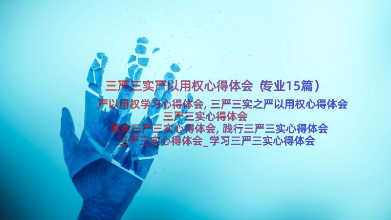 三严三实严以用权心得体会（专业15篇）